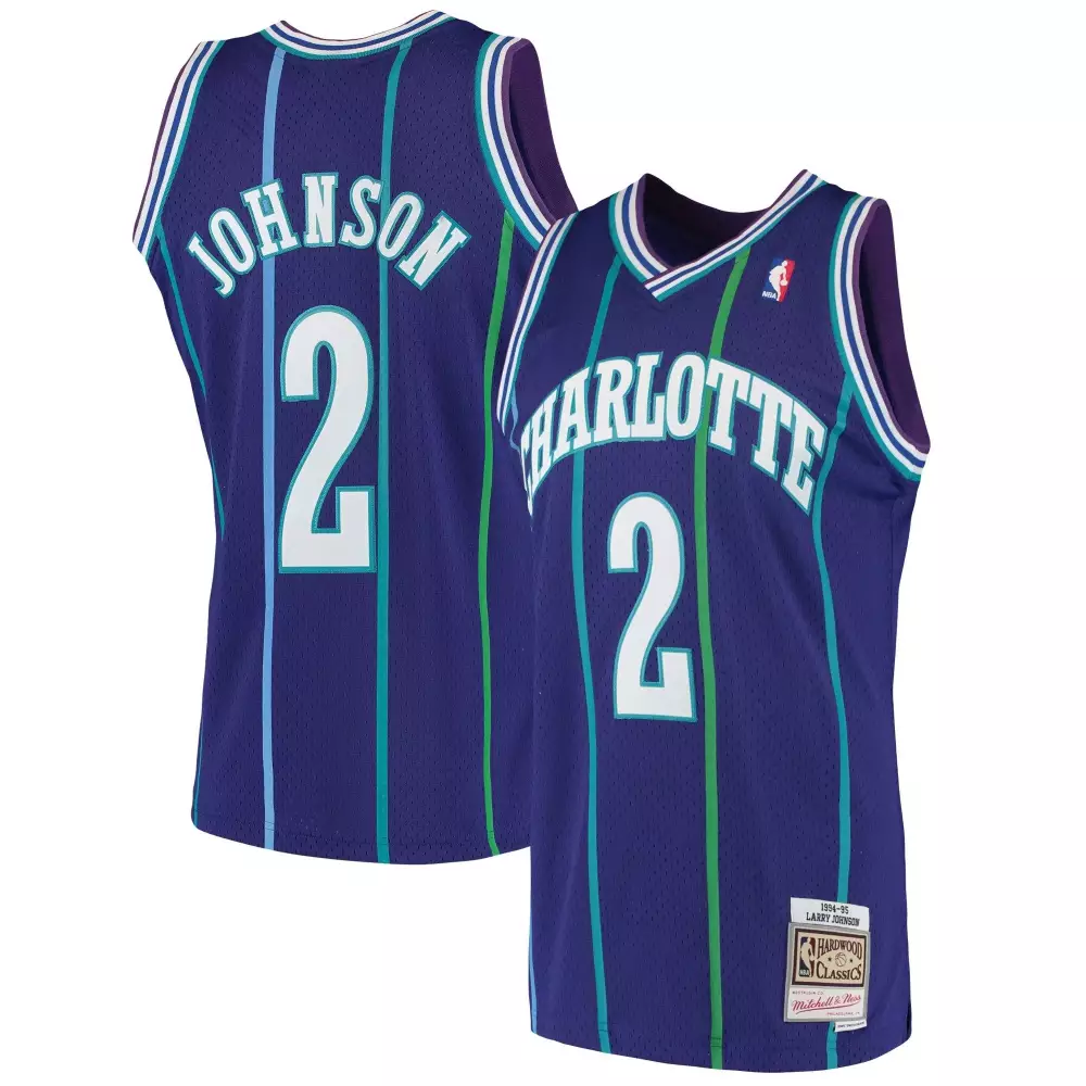 Personalized Larry johnson charlotte hornets 199293 hardwood classics purple jersey gift for charlotte hornets fans