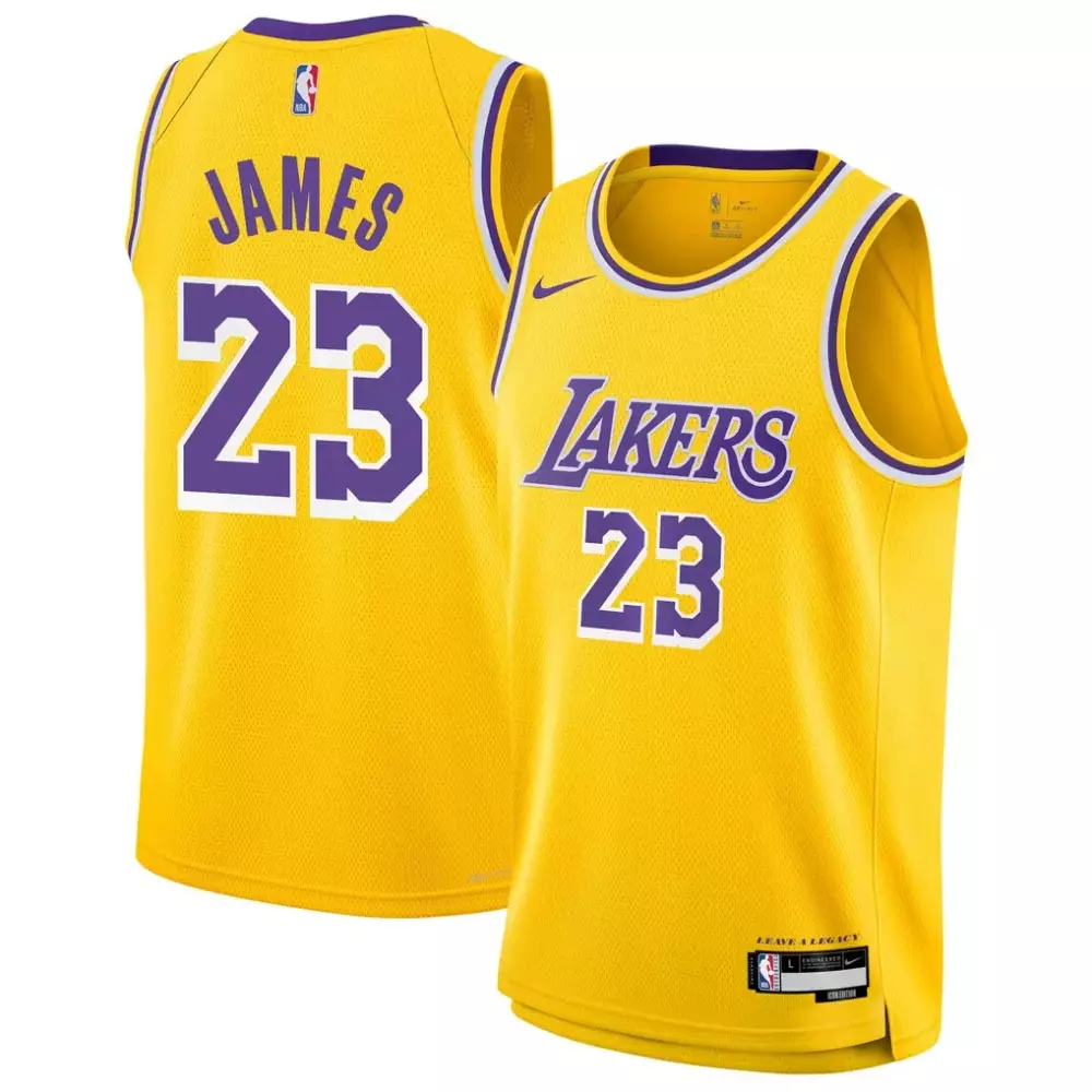 LeBron James Los Angeles Lakers Nike Youth Gold Swingman Jersey | Icon Edition | Game Day Outfit | For Men, Women & Youth